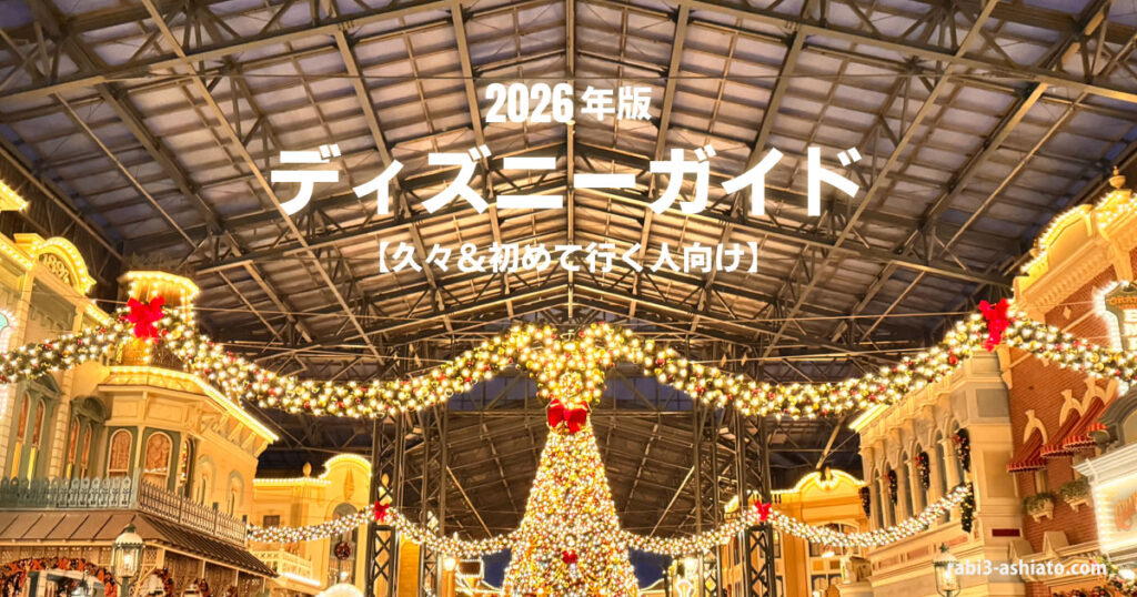 東京ディズニーランドのクリスマス装飾ライトアップとエントランスの様子 初めてや久々に行く人向けガイド用画像