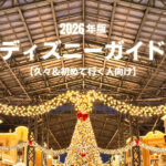 東京ディズニーランドのクリスマス装飾ライトアップとエントランスの様子 初めてや久々に行く人向けガイド用画像